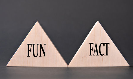 FUN and FACT - words on wooden triangles on dark background. Business conceptの写真素材
