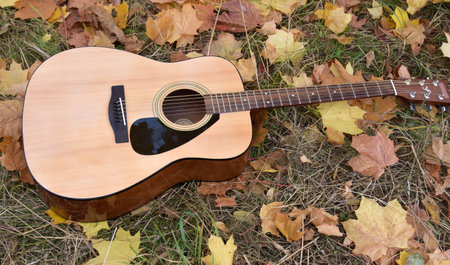 A guitar lies on the ground against a backdrop of colorful autumn leaves