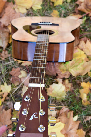 A guitar lies on the ground against a backdrop of colorful autumn leaves