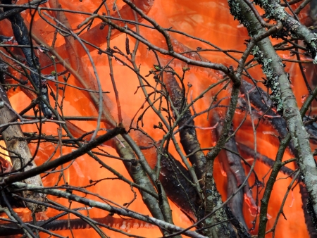 Background of the branches in the burning pyreの写真素材