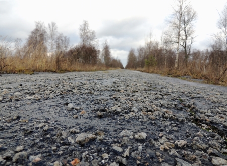 Forest road in the fall. Leningrad regionの写真素材