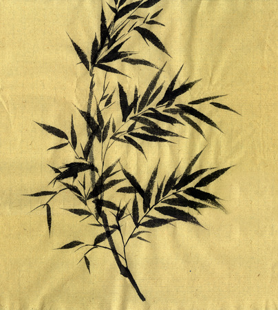 Bamboo Bambusa. Figure style Guohuaの写真素材