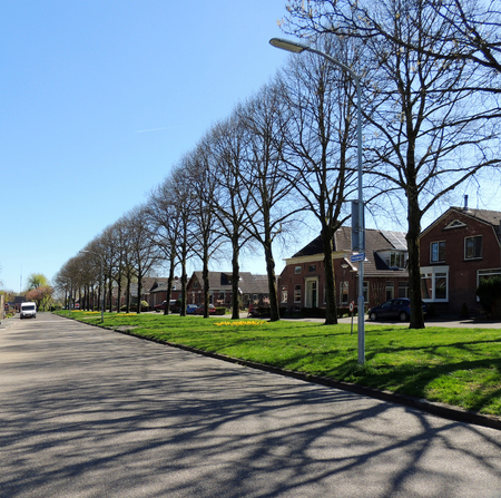 Spring in the Dutch countryside, Netherlandsの写真素材