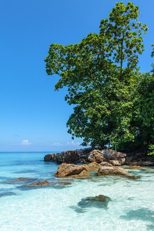 Shore of a tropical island with perfectly clean waterの写真素材