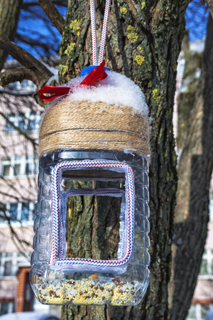 Feeder for birdsの写真素材