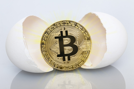The birth of bitcoin. Bitco hatch from eggs.の写真素材