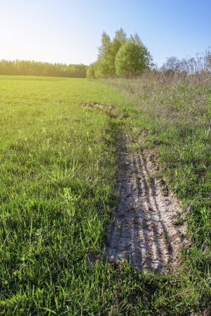 Rural landscape. The road that passes through the summer field.の写真素材