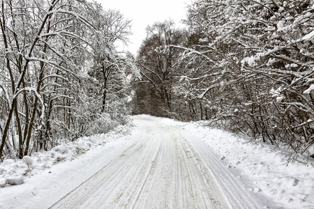 Forest road on a winter day. There is a lot of snow on the trees.の写真素材