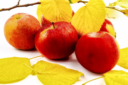 Autumn red apples with yellow leaves on a light background.の写真素材