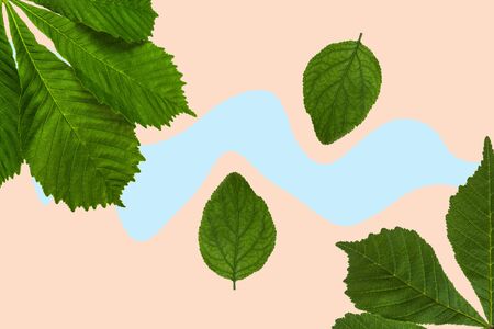 Green leaves of chestnut and linden on a colored background background.