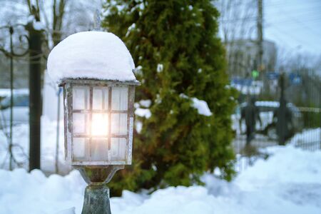 Old street lamp under the snow. On New Years Eve, on the fir tree.の写真素材
