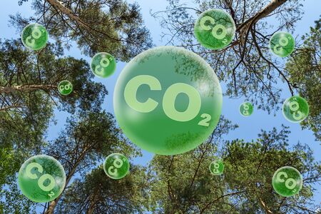 The concept of ecology. Reduced carbon emissions.の写真素材