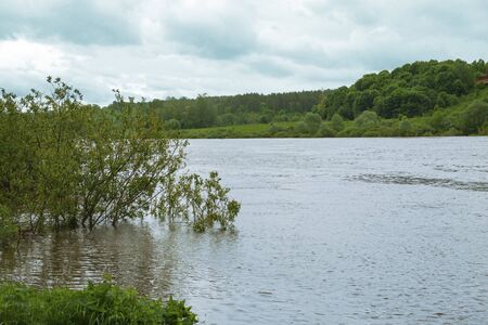 High water level in the river in summer.の写真素材