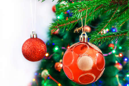 A New Years toy hangs on a Christmas tree.の写真素材