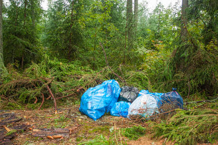 Bags of garbage lie in the woodsの写真素材