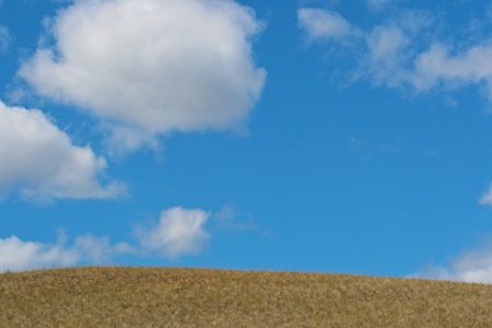 Prairie Sky