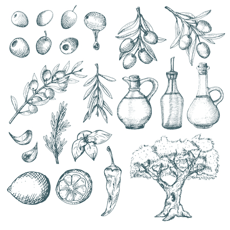 Olive products and supplements sketch. Simple vintage illsutrations.のイラスト素材