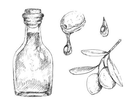 Set ot olive oil bottle, drop and branch in sketchy style, vintage illustration on white backgroundのイラスト素材