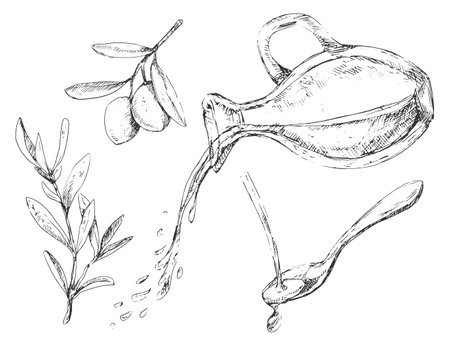 Olive oil pouring from bottle and graphic elements in sketchy vintage styleのイラスト素材