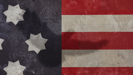 National Freedom Day. US Flag and Eagle Shadowの写真素材