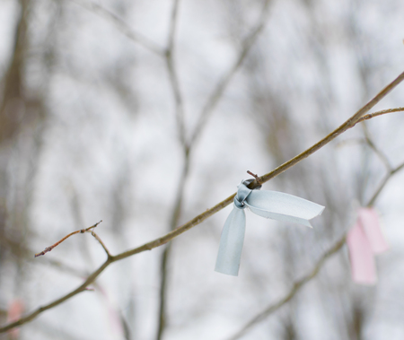 ribbon on a bare tree branch in winterの写真素材