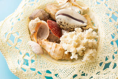 summer background of hat with seashells on blue background