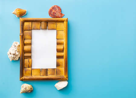 summer background from photo frame, seashells