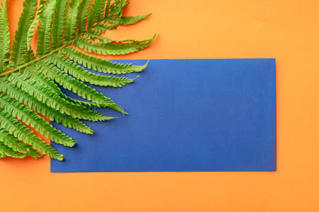 summer background of yellow sunglasses on pink backgroundの写真素材