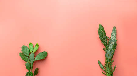 summer background: starfish, sunglasses on blue wooden backgroundの写真素材