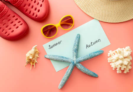 summer background of sandals, coral, starfish on pink backgroundの写真素材
