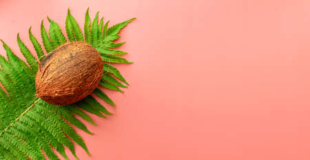 summer background of fern, ice cubes on pink backgroundの写真素材
