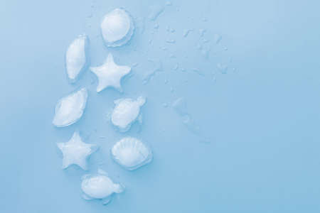 summer background of fern, ice cubes on pink backgroundの写真素材