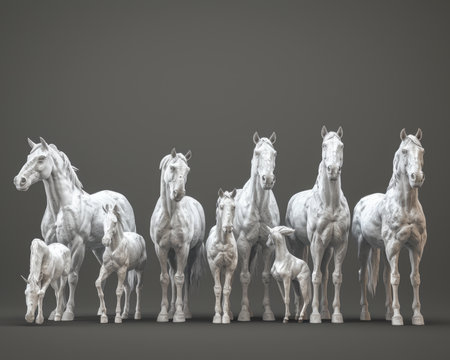 Unity in Diversity: A diverse group of white horses showing various breeds, sizes, and coat patterns, emphasizing the beauty of equine diversityの素材