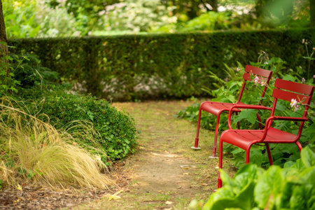 Tranquil Garden Path with Two Red Chairs Amidst Lush Greenery.の写真素材