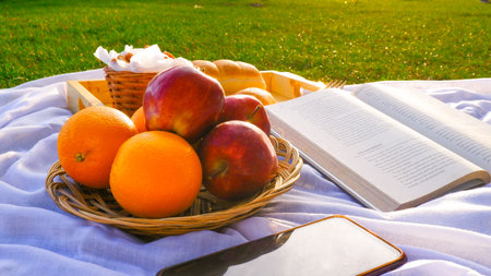 Picnic basket with bread, apples and oranges on green grass. Beautiful summer background with the book. no peopleの写真素材