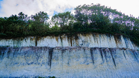 Rocky cliff with green plants and blue cloudy sky. Beautiful nature background