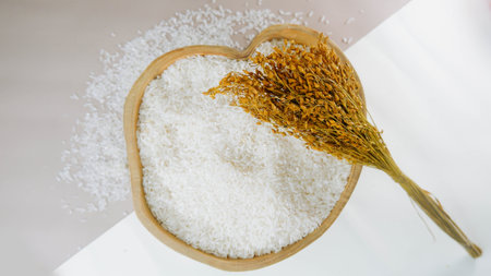 Top view of Paddy rice and white rice in wooden bowl on white backgroundの写真素材