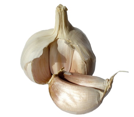 garlic isolated        の写真素材