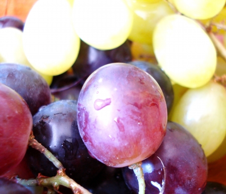 Grapes background の写真素材