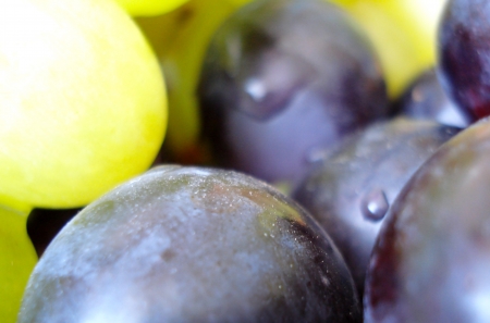 Grapes background の写真素材