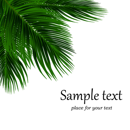Green palm leaves on white background. Vector.のイラスト素材