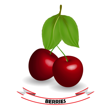 Realistic Cherry, leaves and berries isolated on white background Vector illustration.のイラスト素材