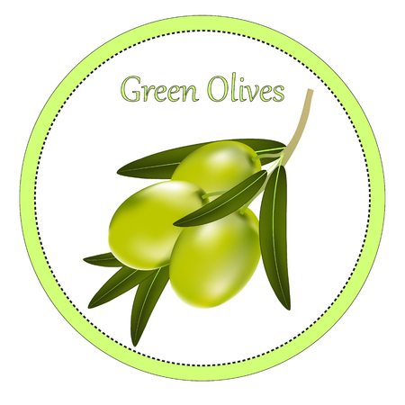 Round label or sticker with a realistic branch of green olives. Vector illustration on white background.のイラスト素材