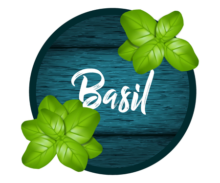 Label or sticker with branches of a realistic basil on a wooden background of boards. Vector illustration of spice 3dのイラスト素材