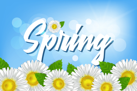 Inscription Spring against a blue sky with chamomileのイラスト素材
