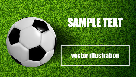 Football illustration on the lawn with ballのイラスト素材