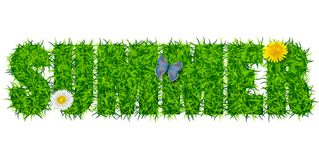 Inscription Summer from the grassのイラスト素材