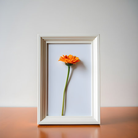 Orange gerbera flower in a white frame on the table.の写真素材