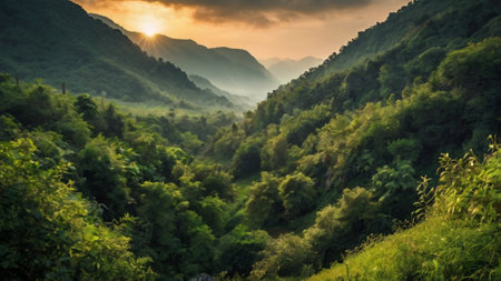 Beautiful landscape of misty forest in the mountains at sunset.