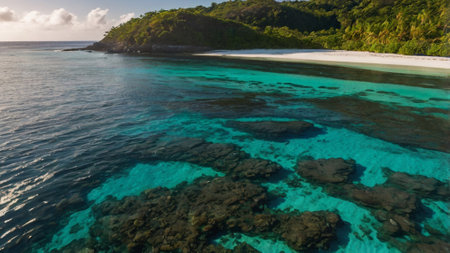 Aerial view of turquoise water and coral reef at Seychelles